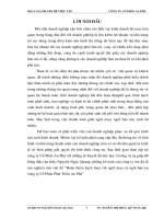 hoàn thiện hạch tóan với người mua và người bán tại công ty cổ phần phát triển an phú