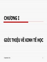 Tài liệu GIỚI THIỆU VỀ KINH TẾ HỌC docx