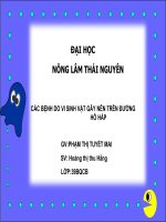 Tài liệu Các bệnh do vi sinh vật gây nên trên đường hô hấp potx