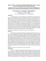 Tài liệu BÁO CÁO 