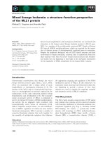 Tài liệu Báo cáo khoa học: Mixed lineage leukemia: a structure–function perspective of the MLL1 protein ppt