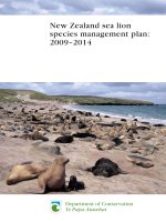 Tài liệu New Zealand sea lion species management plan: 2009–2014 ppt