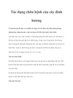 Tài liệu Tác dụng chữa bệnh của cây đinh hương pdf