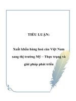 Tài liệu TIỂU LUẬN: Xuất khẩu hàng hoá của Việt Nam sang thị trường Mỹ – Thực trạng và giải pháp phát triển pdf