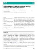 Tài liệu Báo cáo khoa học: Molecular basis of glyphosate resistance – different approaches through protein engineering doc