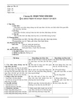 Tin 10 tuan 20,21,22,23,24