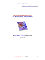 Tài liệu Internet Business Guide in AWeek ppt