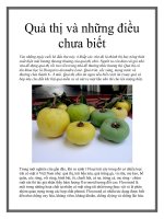 Tài liệu Quả thị và những điều chưa biết docx