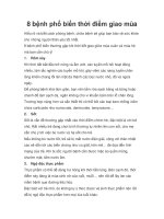 Tài liệu 8 bệnh phổ biến thời điểm giao mùa pot