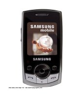 Tài liệu Nên chọn “dế” nào dành tặng người yêu? pot