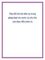 Tài liệu Thu hồi tài sản dân sự trong pháp luật các nước và yêu cầu của thực tiễn nước ta pptx