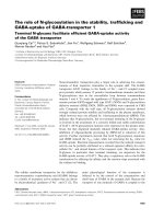 Tài liệu Báo cáo khoa học: The role of N-glycosylation in the stability, trafﬁcking and GABA-uptake of GABA-transporter 1 Terminal N-glycans facilitate efﬁcient GABA-uptake activity of the GABA transporter pptx