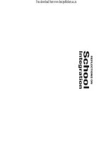 Tài liệu Reflections on School Integration ppt