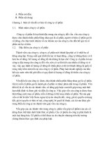 Tài liệu Tiểu luận luật kinh doanh pdf