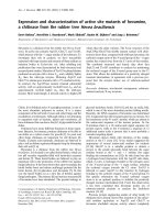 Tài liệu Báo cáo Y học: Expression and characterization of active site mutants of hevamine, a chitinase from the rubber tree Hevea brasiliensis docx