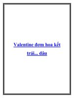 Tài liệu Valentine đơm hoa kết trái... dâu potx