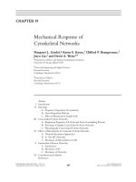 Tài liệu Mechanical Response of Cytoskeletal Networks pptx