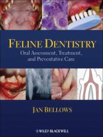 Tài liệu FELINE DENTISTRY Oral Assessment, Treatment, and Preventative Care_1 pdf