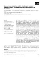 Tài liệu Báo cáo khoa học: Compartmentalization and in vivo insulin-induced translocation of the insulin-signaling inhibitor Grb14 in rat liver pptx
