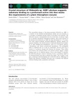 Tài liệu Báo cáo khoa học: Crystal structure of Klebsiella sp. ASR1 phytase suggests substrate binding to a preformed active site that meets the requirements of a plant rhizosphere enzyme doc