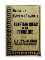 Tài liệu EGYPTIAN IDEAS OF THE FUTURE LIFE ppt