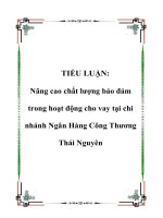 Nâng cao chất lượng bảo đảm trong hoạt động cho vay tại chi nhánh Ngân Hàng Công Thương Thái Nguyên