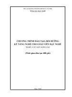 Tài liệu CHƯƠNG TRÌNH ĐÀO TẠO, BỒI DƯỠNG KỸ NĂNG NGHỀ CHO GIÁO VIÊN DẠY NGHỀ pptx