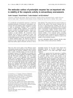 Tài liệu Báo cáo khoa học: The molecular surface of proteolytic enzymes has an important role in stability of the enzymatic activity in extraordinary environments pptx