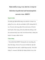 Tài liệu Bệnh nhiễm trung virus dưới da và hoại tử- Infectious hypodermal and haematopoietic necrosis virus- IHHNV pot