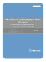 Tài liệu Virtualizing Oracle Database 10g/11g on VMware Infrastructure docx