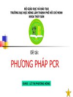 đề tài phương pháp pcr