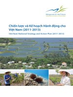 Tài liệu Chiến lược và Kế hoạch Hành động cho Việt Nam (2011-2013) pdf