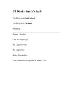 Tài liệu Cá Dảnh - Smith`s barb pot