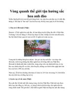 Tài liệu Vòng quanh thế giới tận hưởng sắc hoa anh đào pdf