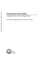 Tài liệu Protecting our Cultural Capital pptx