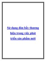 Tài liệu Sử dụng đòn bẩy thương hiệu trong việc phát triển sản phẩm mới.Chiến pdf