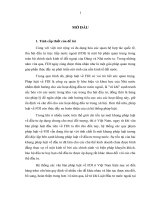 tiếp tục hoàn thiện pháp luật  về đầu tư trực tiếp nước ngoài theo hướng  nhất thể hóa pháp luật về đầu tư tại việt nam