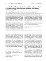 Tài liệu Báo cáo khoa học: A novel c-N-methylaminobutyrate demethylating oxidase involved in catabolism of the tobacco alkaloid nicotine by Arthrobacter nicotinovorans pAO1 ppt