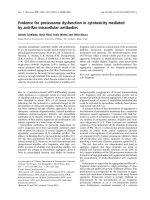 Tài liệu Báo cáo khoa học: Evidence for proteasome dysfunction in cytotoxicity mediated by anti-Ras intracellular antibodies pdf