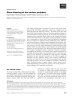 Tài liệu Báo cáo khoa học: Gene silencing at the nuclear periphery pdf