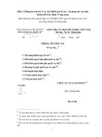 Tài liệu MẪU THÔNG TIN TÓM TẮT Về vụ việc... pot