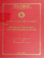 chiến lược cạnh tranh của công ty trách nhiệm hữu hạn gốm sứ quang vinh