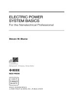 Tài liệu ELECTRIC POWER SYSTEM BASICS doc