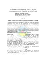 Tài liệu Nghiên cứu đa hình di truyền loài lan Hài đốm (Paphiopedilum concolor Pfitzer) bản địa của Việt Nam pptx