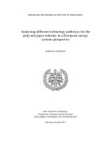 Tài liệu Analysing different technology pathways for the pulp and paper industry in a European energy systems perspective doc