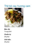 Tài liệu Thịt bò cay hương cam ppt