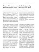 Tài liệu Báo cáo khoa học: Mapping of the epitope of a monoclonal antibody protecting plasminogen activator inhibitor-1 against inactivating agents pptx