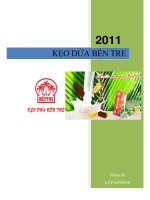 Tiểu luận THÂM NHẬP KẸO DỪA BẾN TRE VÀO THỊ TRƯỜNG PHÁP