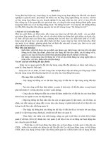 Tài liệu Hệ thống lưu trữ ppt