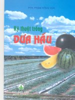 Tài liệu Kỹ thuật trồng dưa hấu ppt